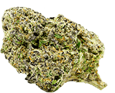 Cherry Punch